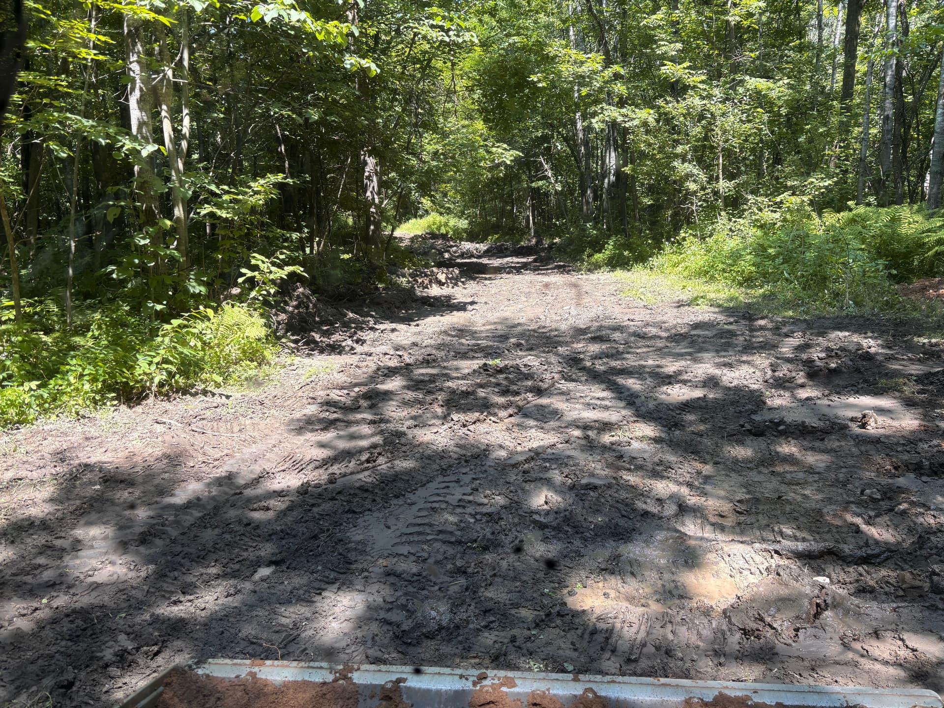 Gallery photos for Hunting Property Trail Work and Grading in Hillman: Image #8