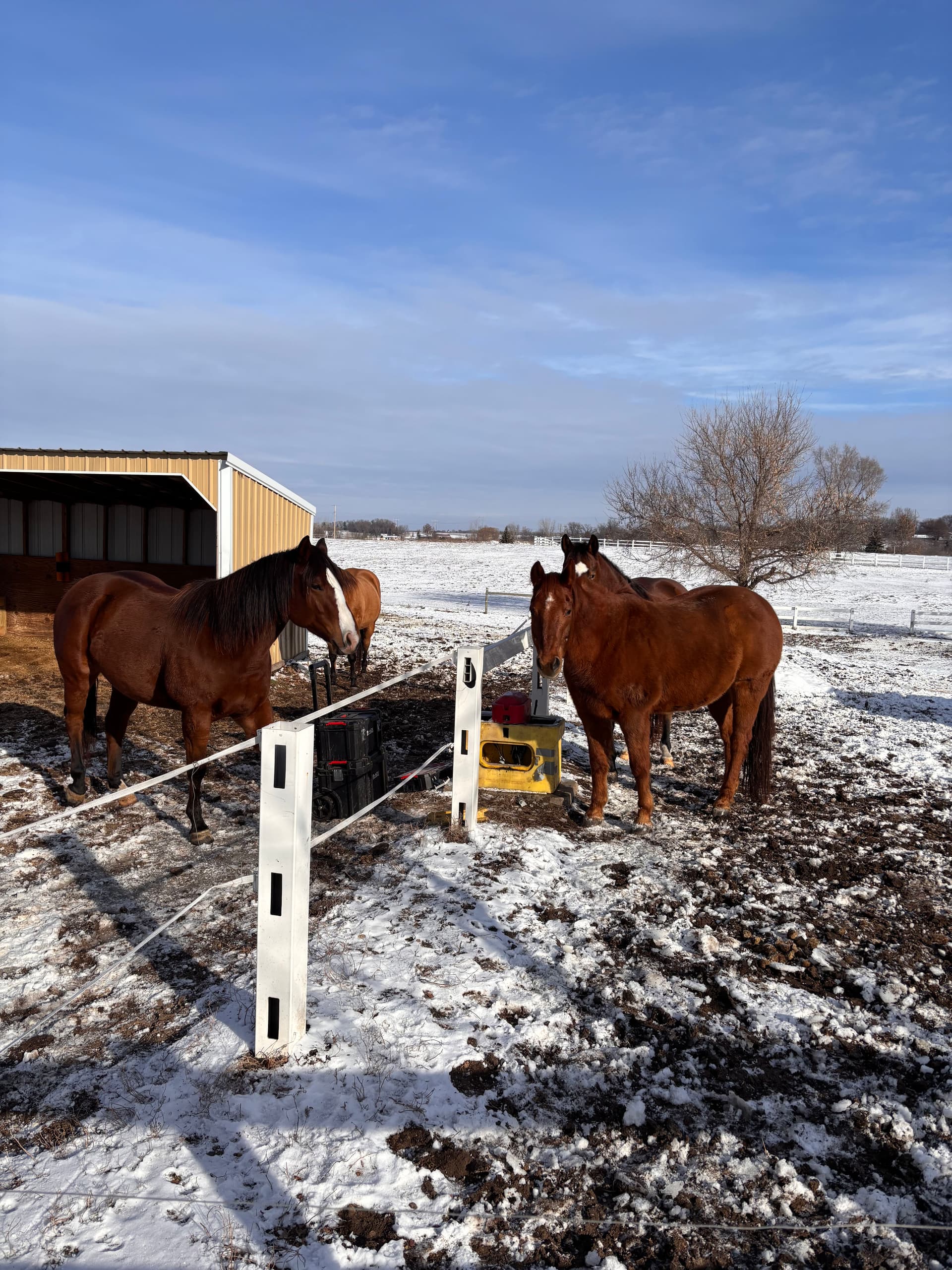 Gallery photos for Davis Dirt Works LLC Keeps Horses Hydrated Year-Round with Ritchie Troughs: Image #2
