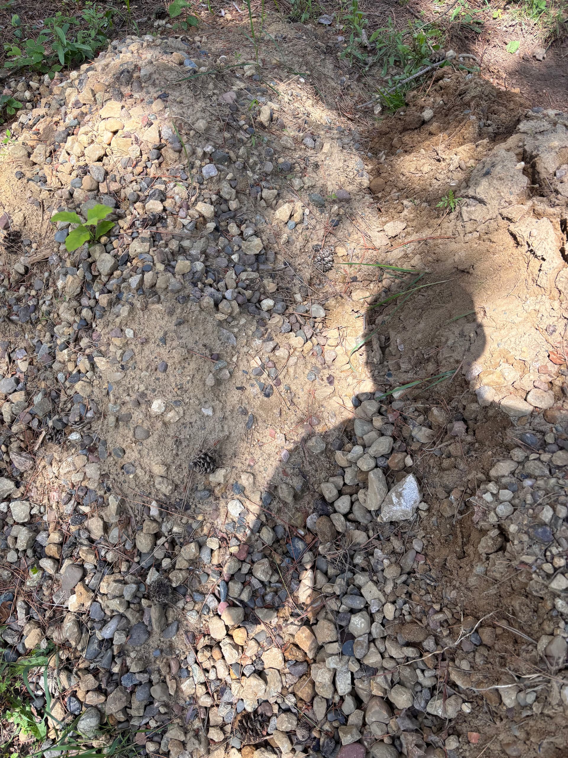 Gallery photos for Riding Arena Footing Rescue - Rock Removal and Full Regrading: Image #3