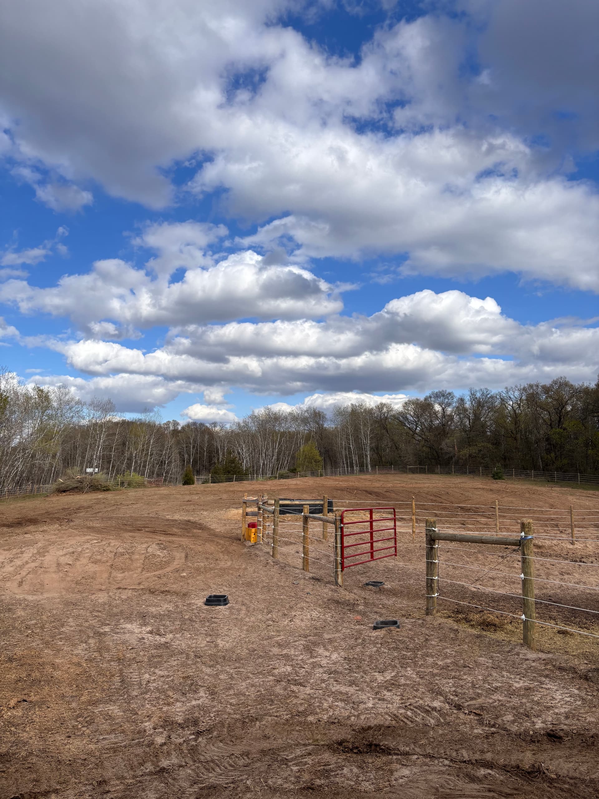 Horse Pasture Brush Clearing Done Right image