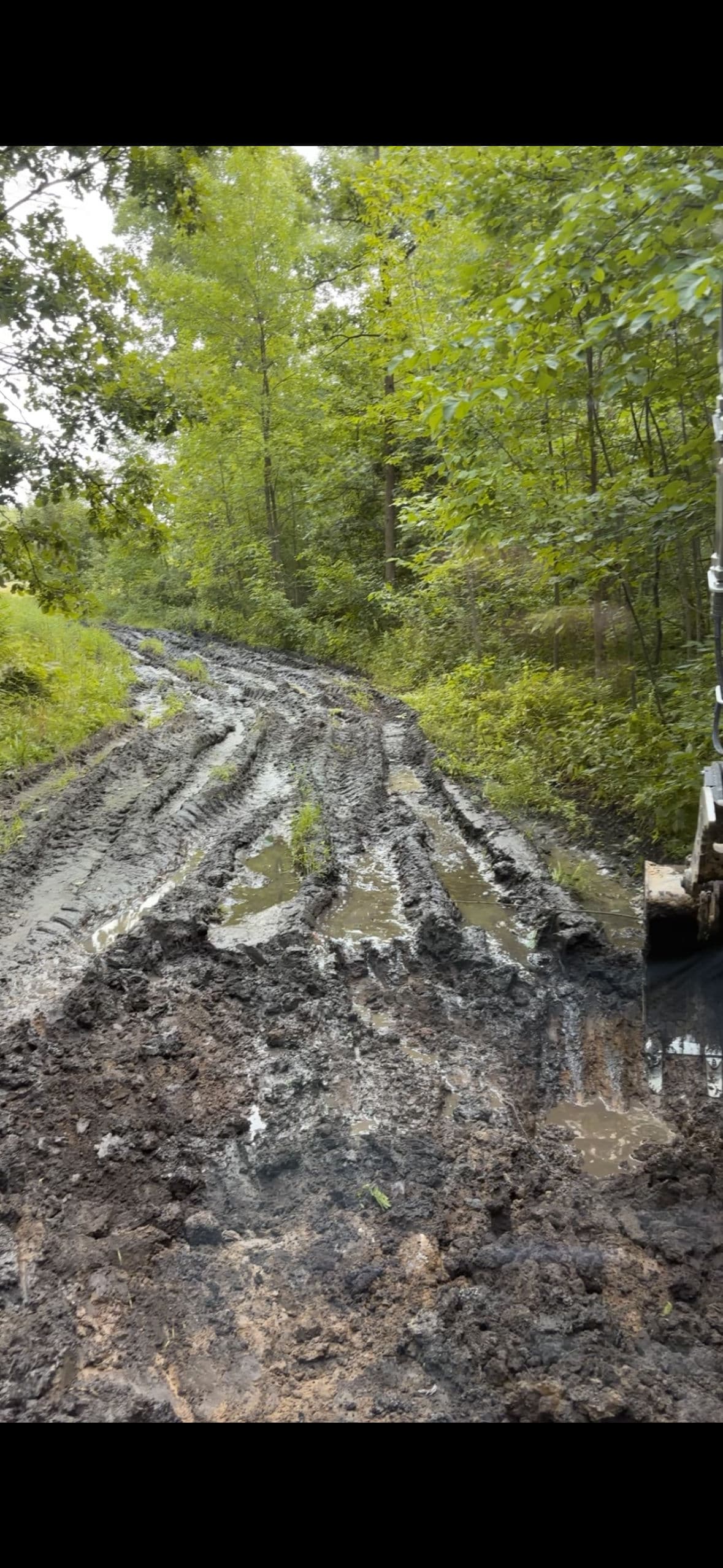 Gallery photos for Hunting Property Trail Work and Grading in Hillman: Image #2