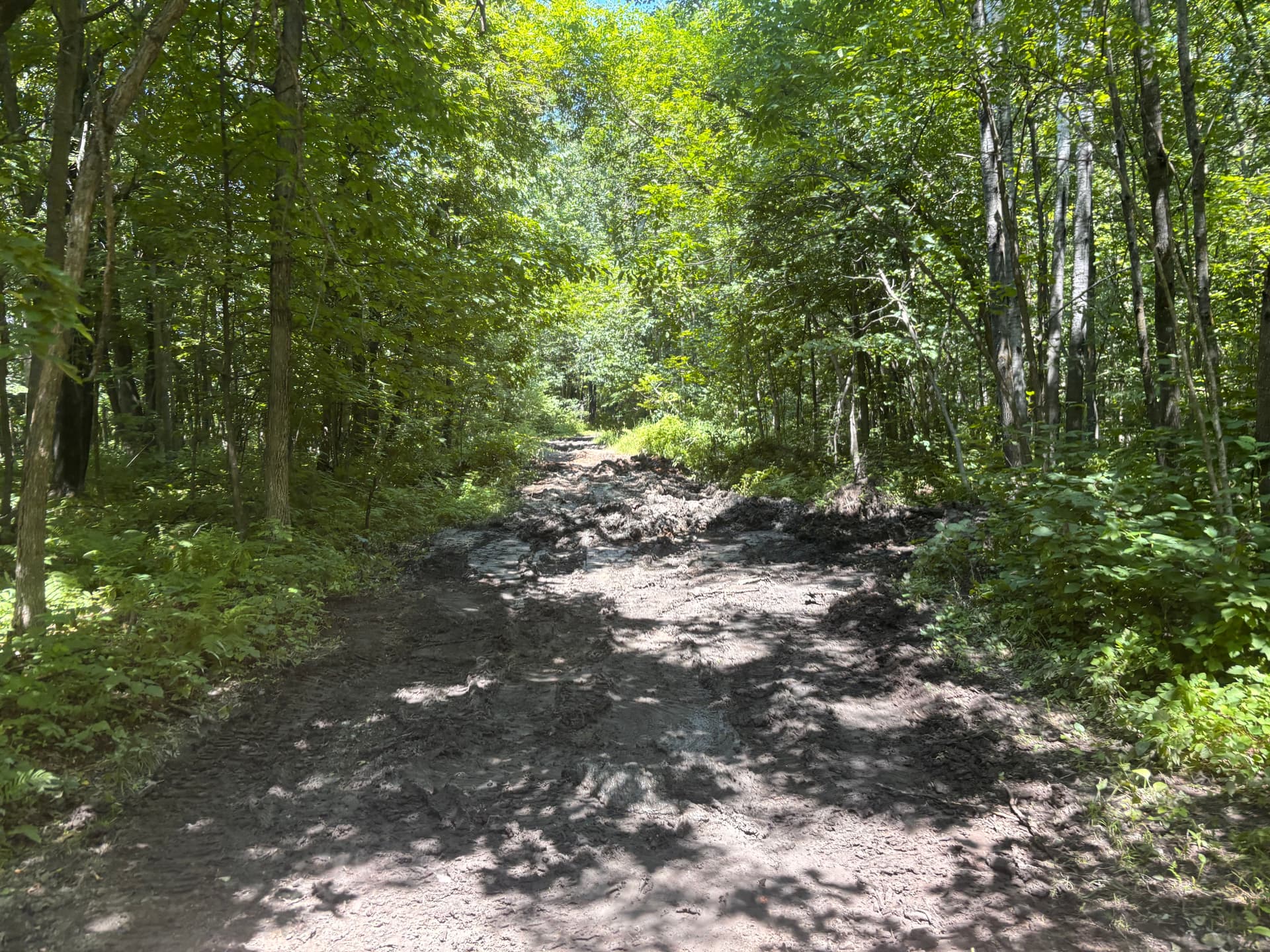 Gallery photos for Hunting Property Trail Work and Grading in Hillman: Image #7
