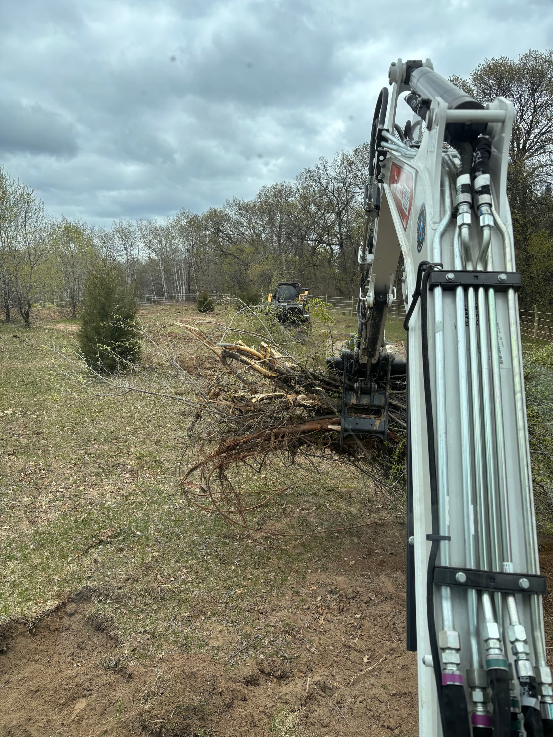 Gallery photos for Horse Pasture Brush Clearing Done Right: Image #2
