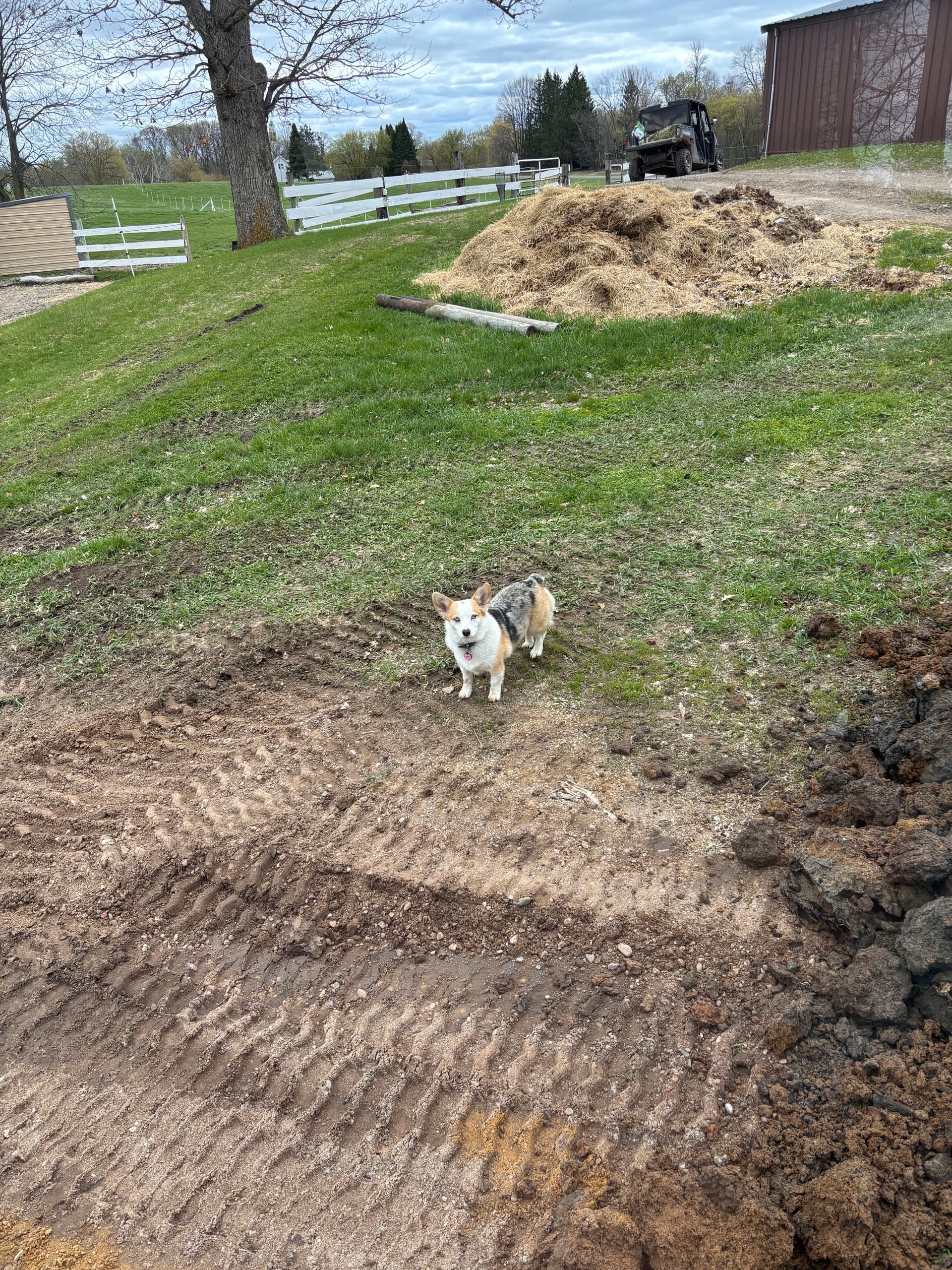 Gallery photos for Ritchie Automatic Waterer and Yard Hydrant Install at RnR Ranch in St. Croix Falls: Image #4