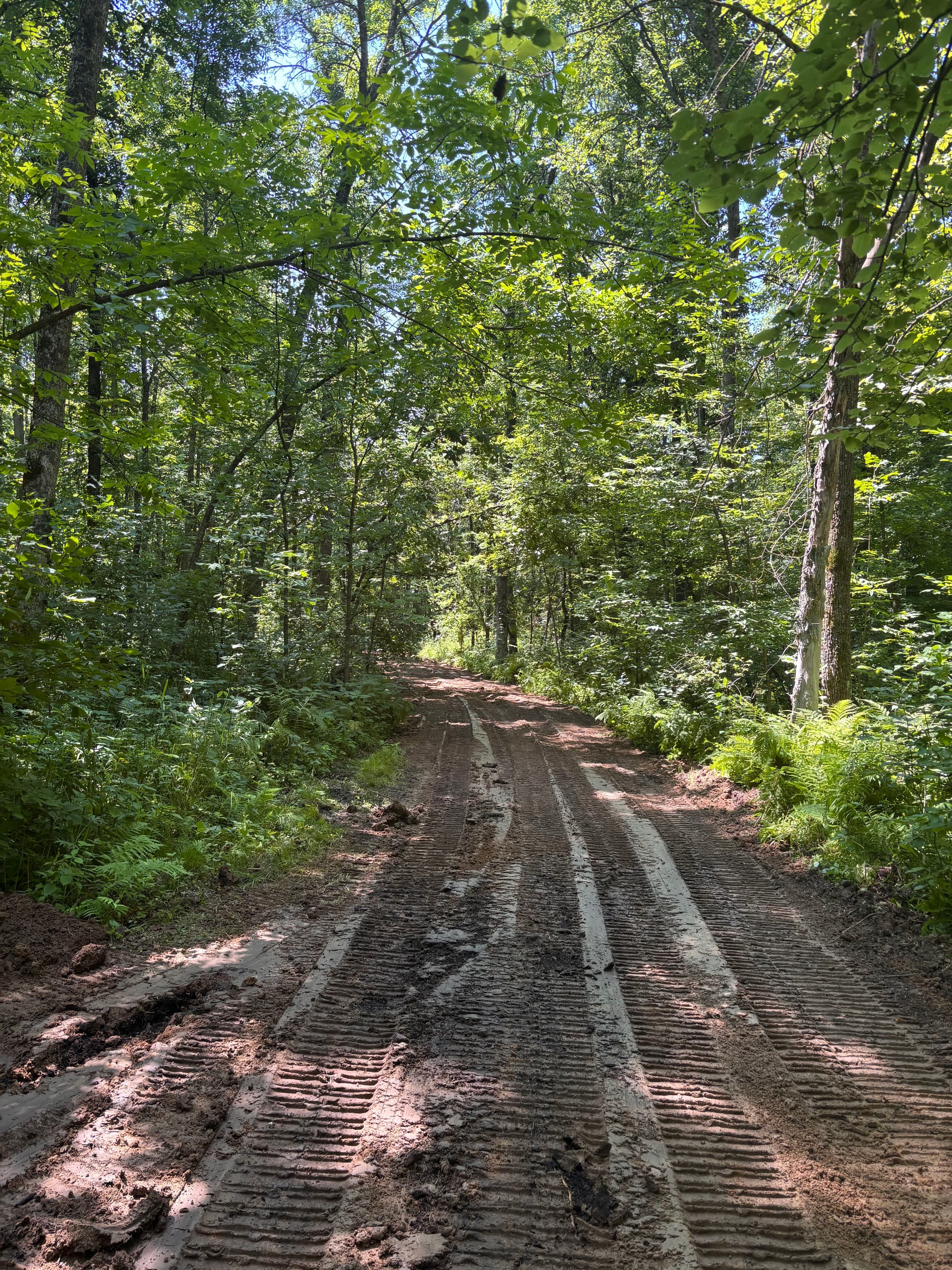 Gallery photos for Hunting Property Trail Work and Grading in Hillman: Image #6