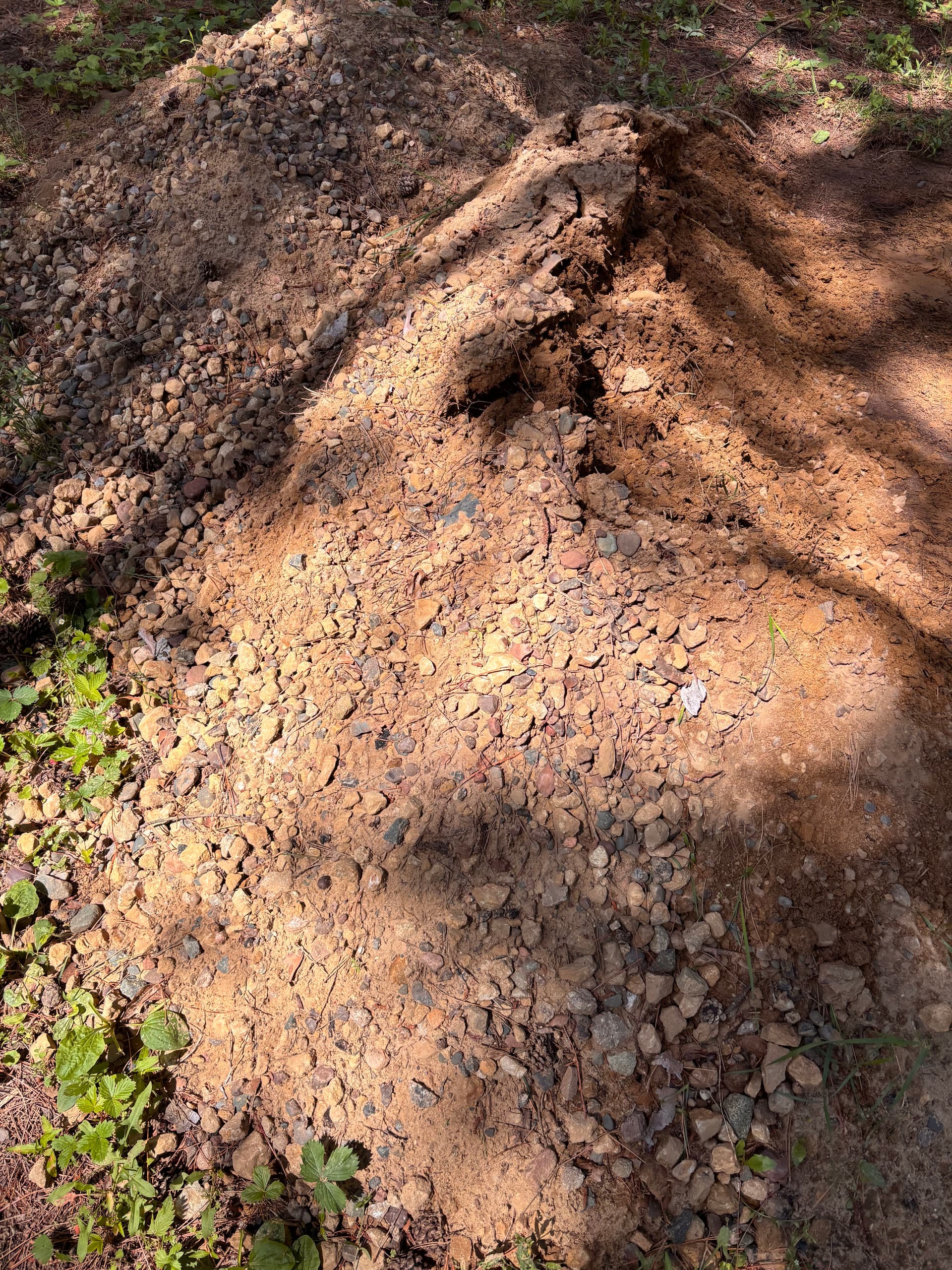 Gallery photos for Riding Arena Footing Rescue - Rock Removal and Full Regrading: Image #4