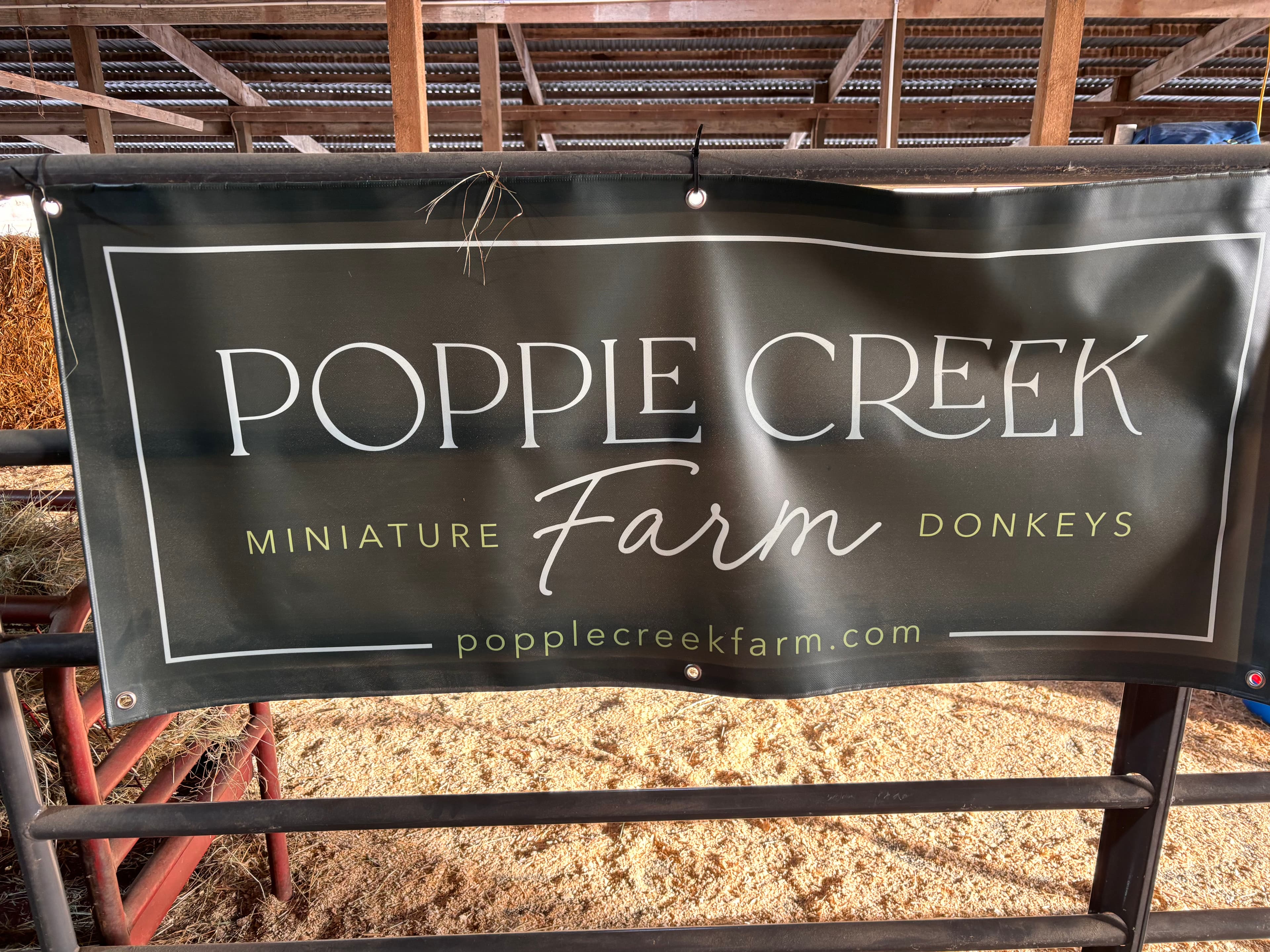 Project Fresh Water Solutions for Mini Donkeys at Popple Creek Farm image