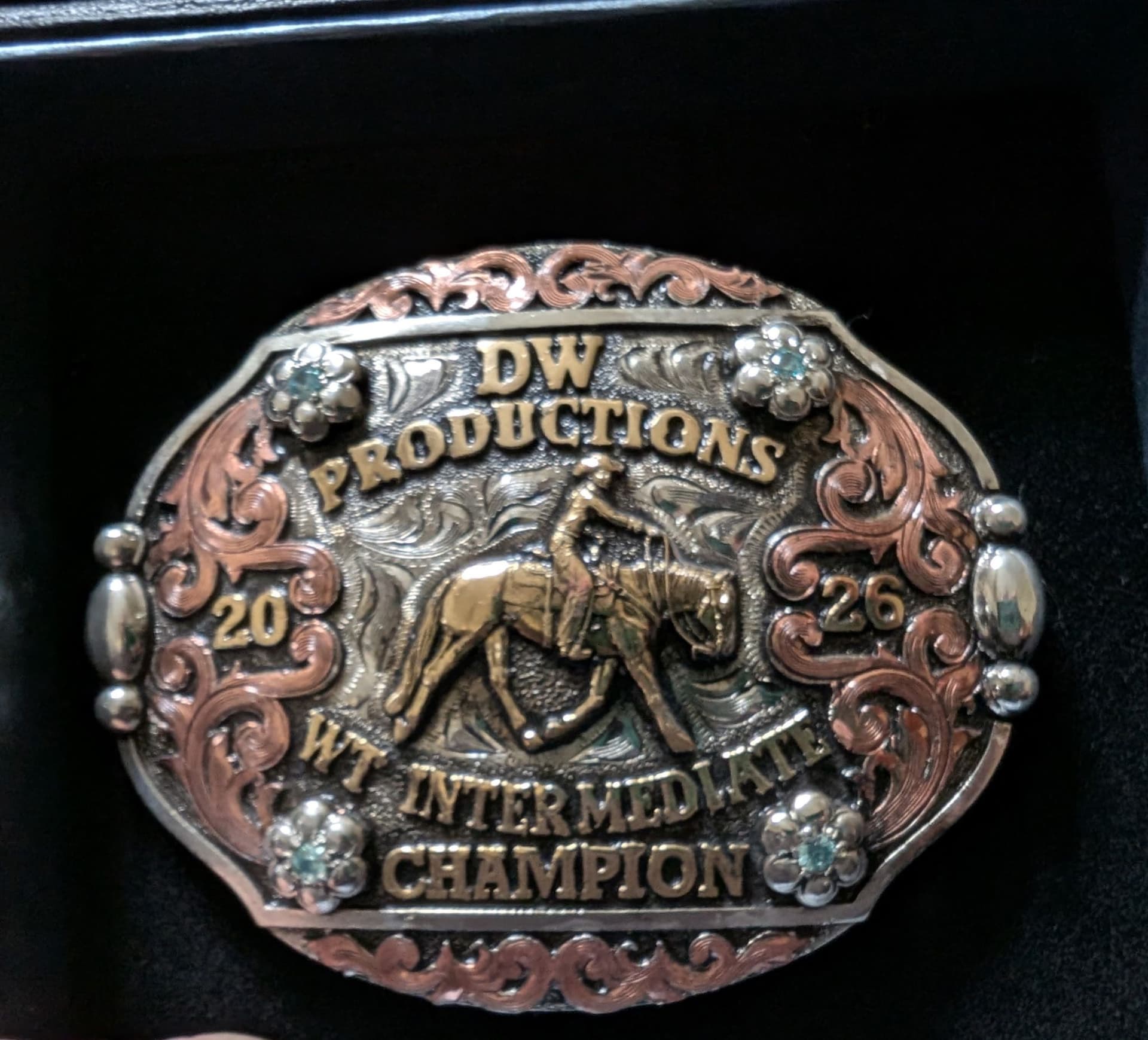 Davis Dirt Works Is Sponsoring the DW Productions Weekend High-Point Buckle image
