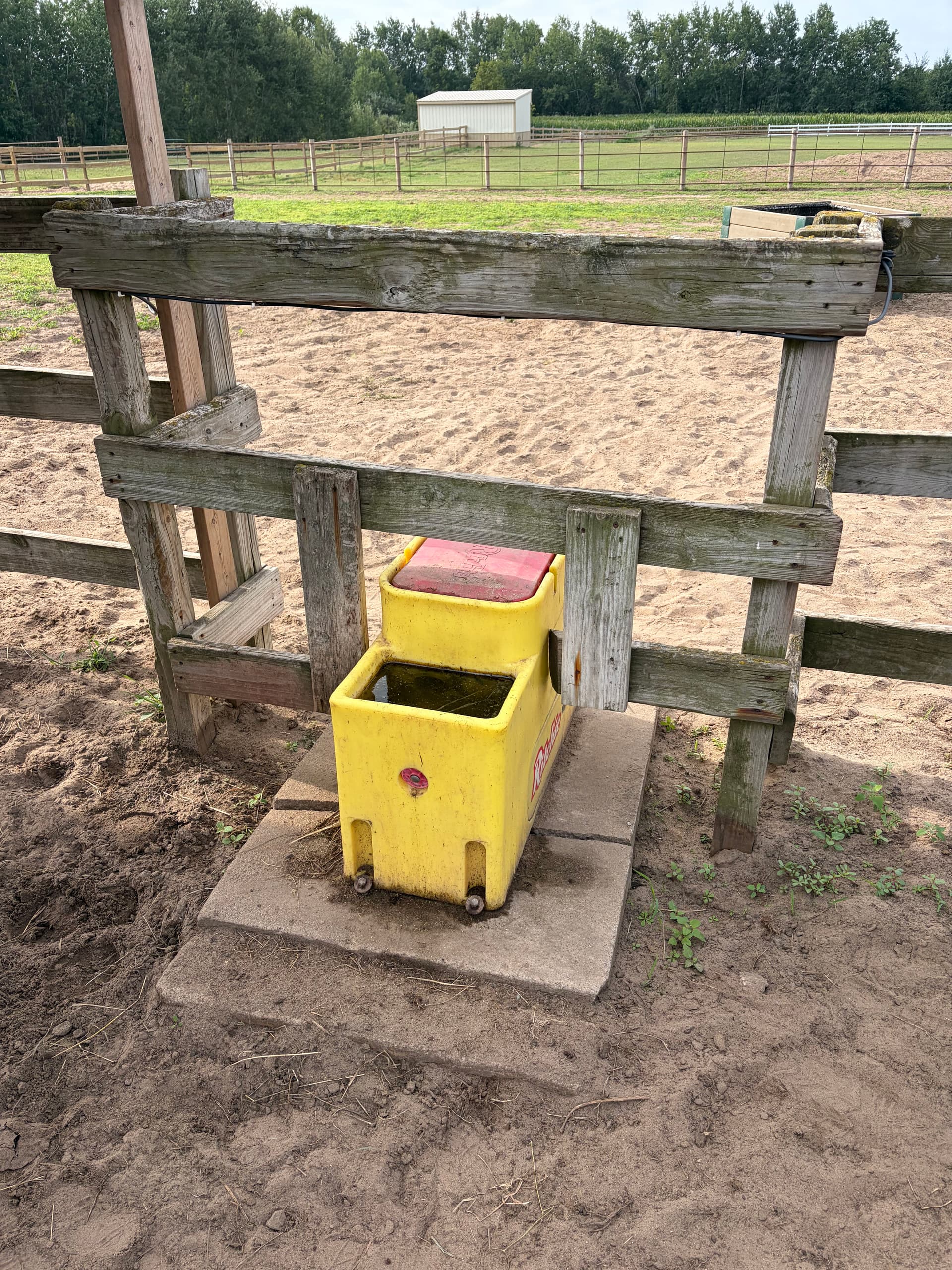 Gallery photos for Isanti Horse Property Gets a Classic Equine Ritchie Waterer Upgrade: Image #2