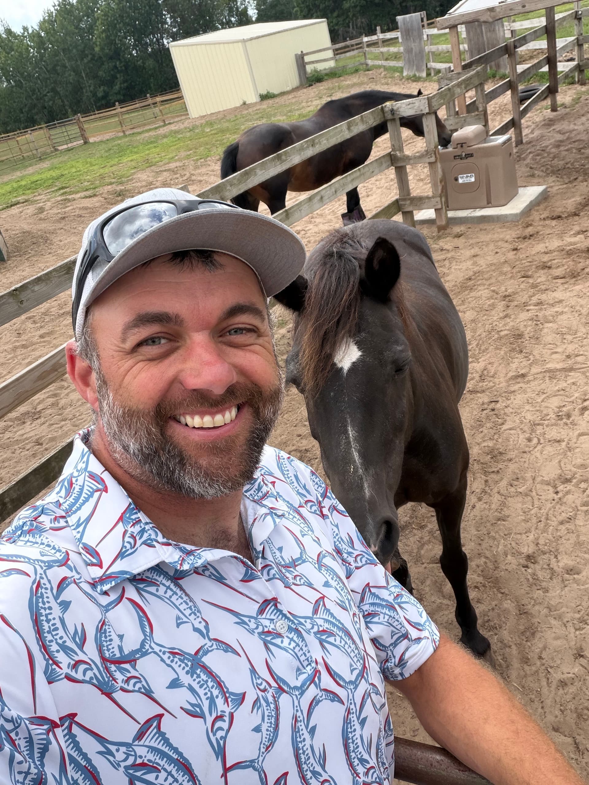 Gallery photos for Isanti Horse Property Gets a Classic Equine Ritchie Waterer Upgrade: Image #4