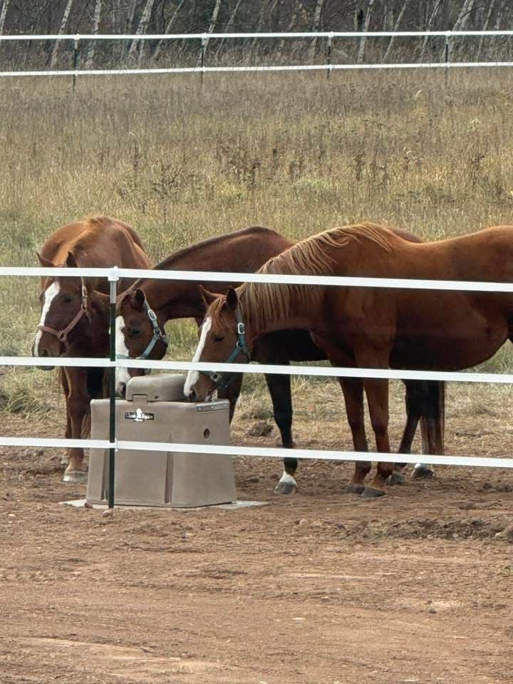 Project Davis Dirt Works LLC Keeps Horses Hydrated Year-Round with Ritchie Troughs image