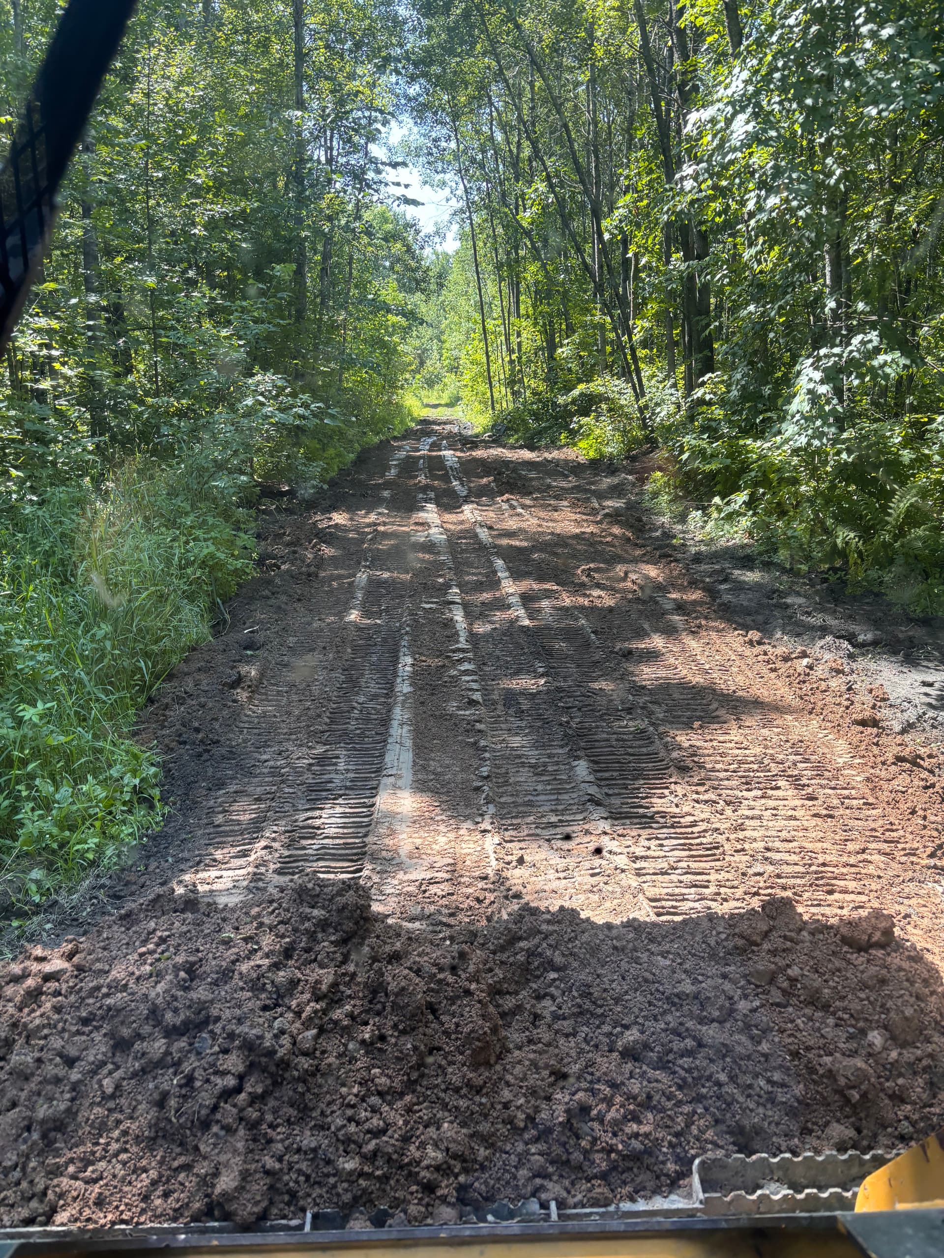Gallery photos for Hunting Property Trail Work and Grading in Hillman: Image #9