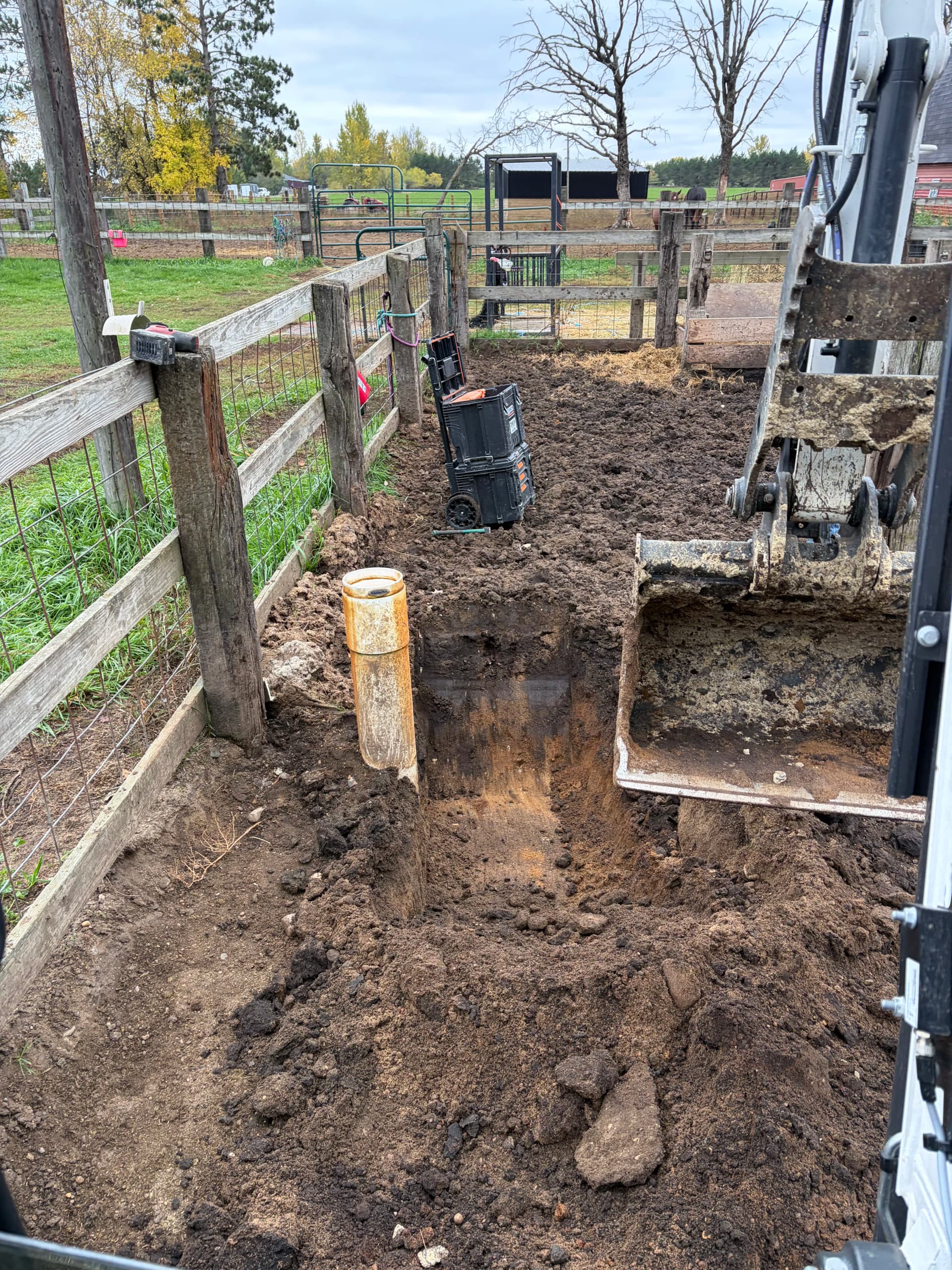 Gallery photos for Ritchie EcoFount 1 Waterer Installation in Wadena: Image #6