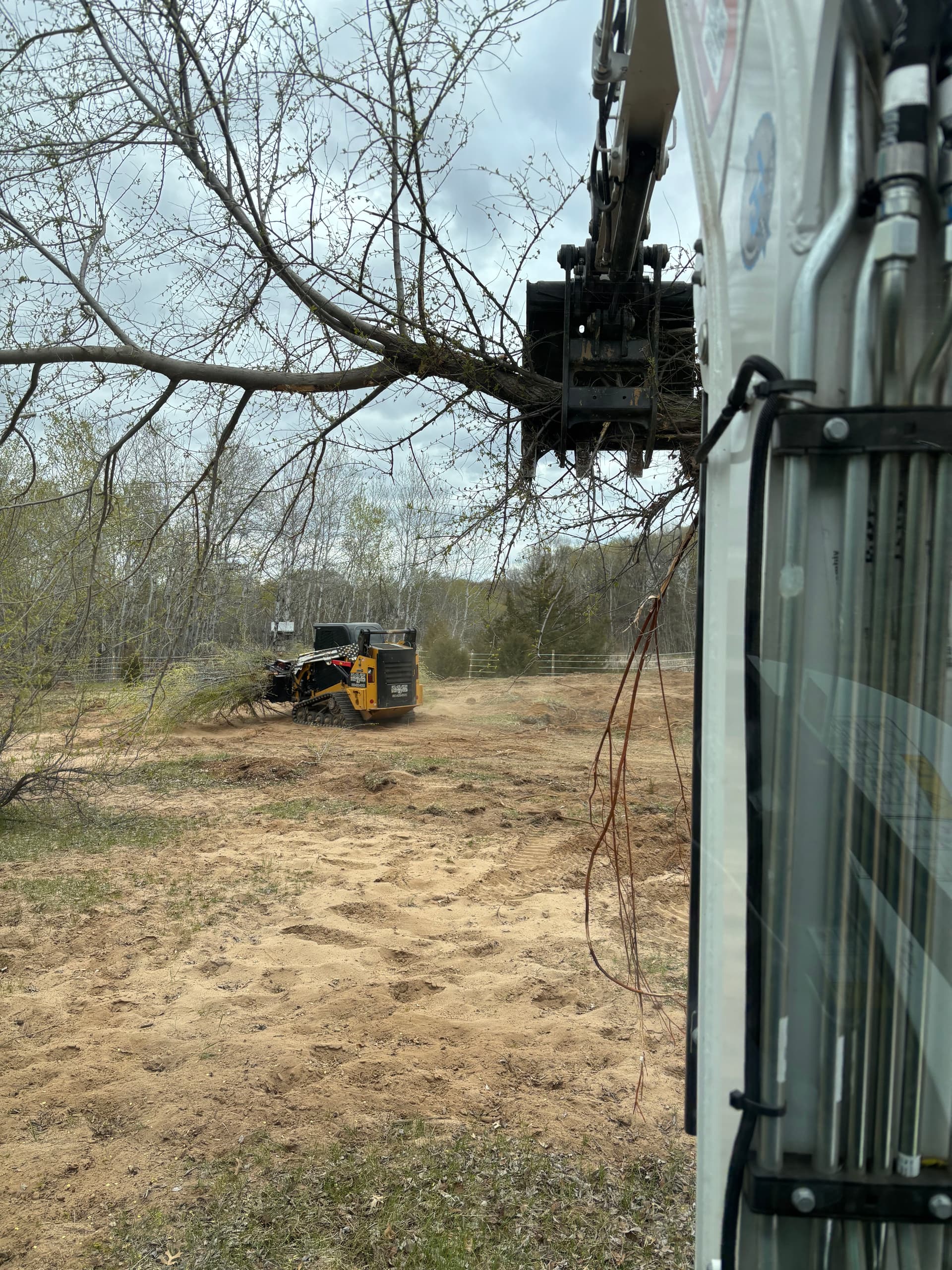 Gallery photos for Horse Pasture Brush Clearing Done Right: Image #1