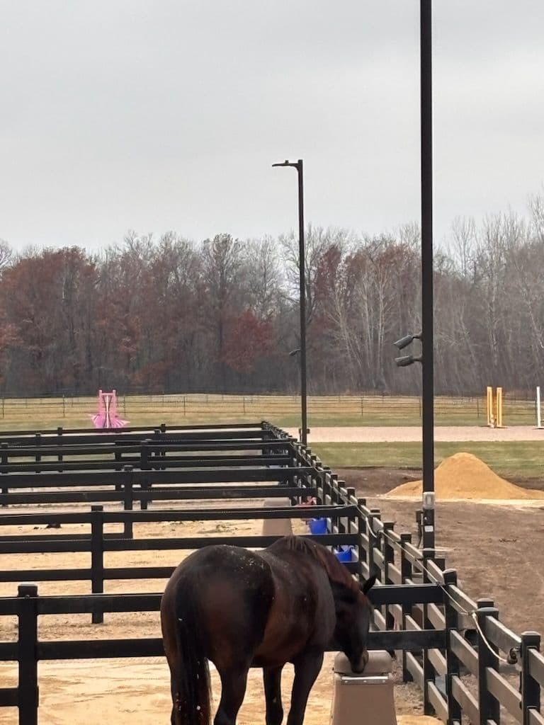 Project Horse Barn Enhanced with New Classic Equine Ritchie Waterers in Isanti image