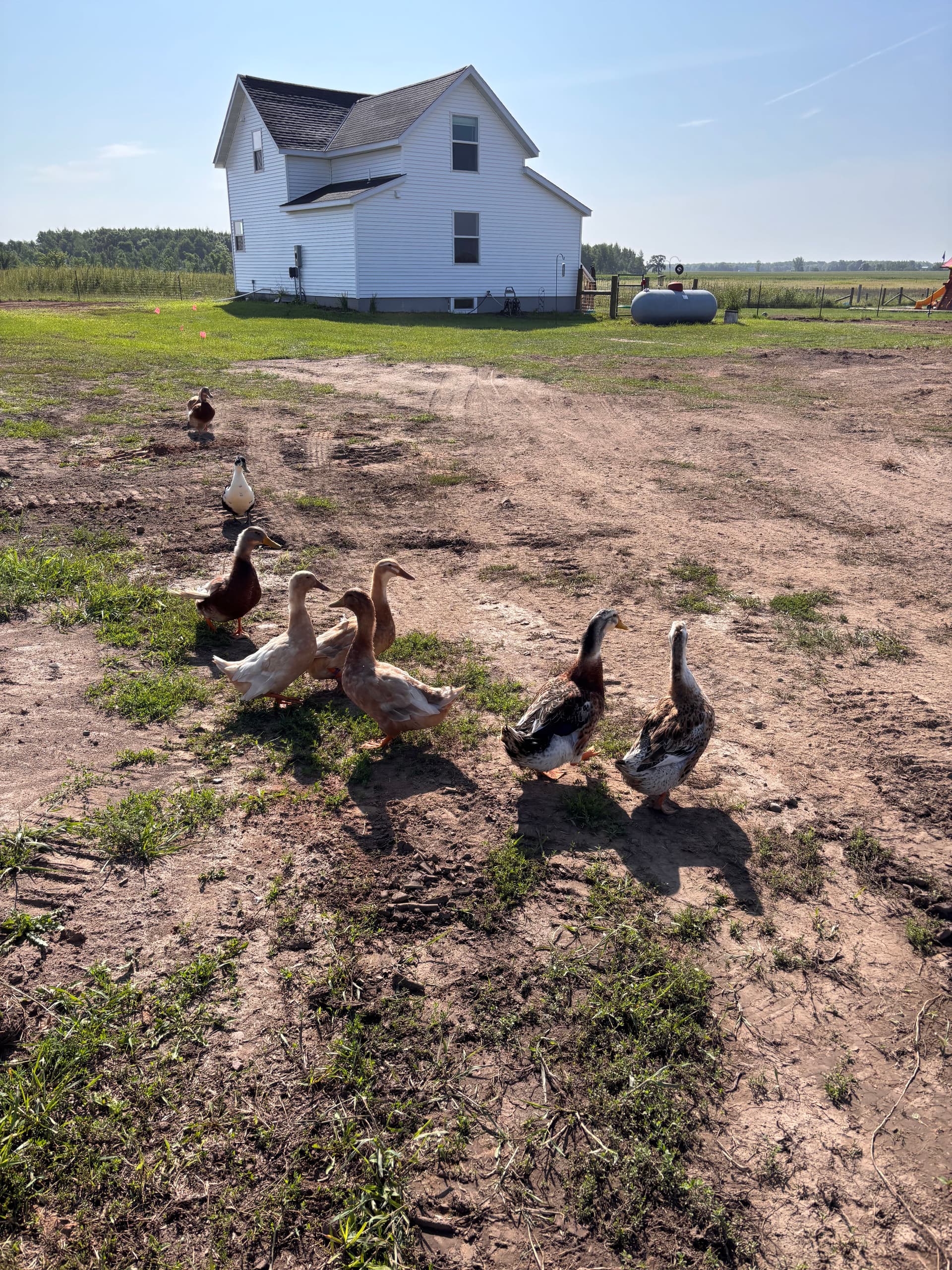 Gallery photos for Big Water Line Upgrade at Stony Creek Farm: Image #5