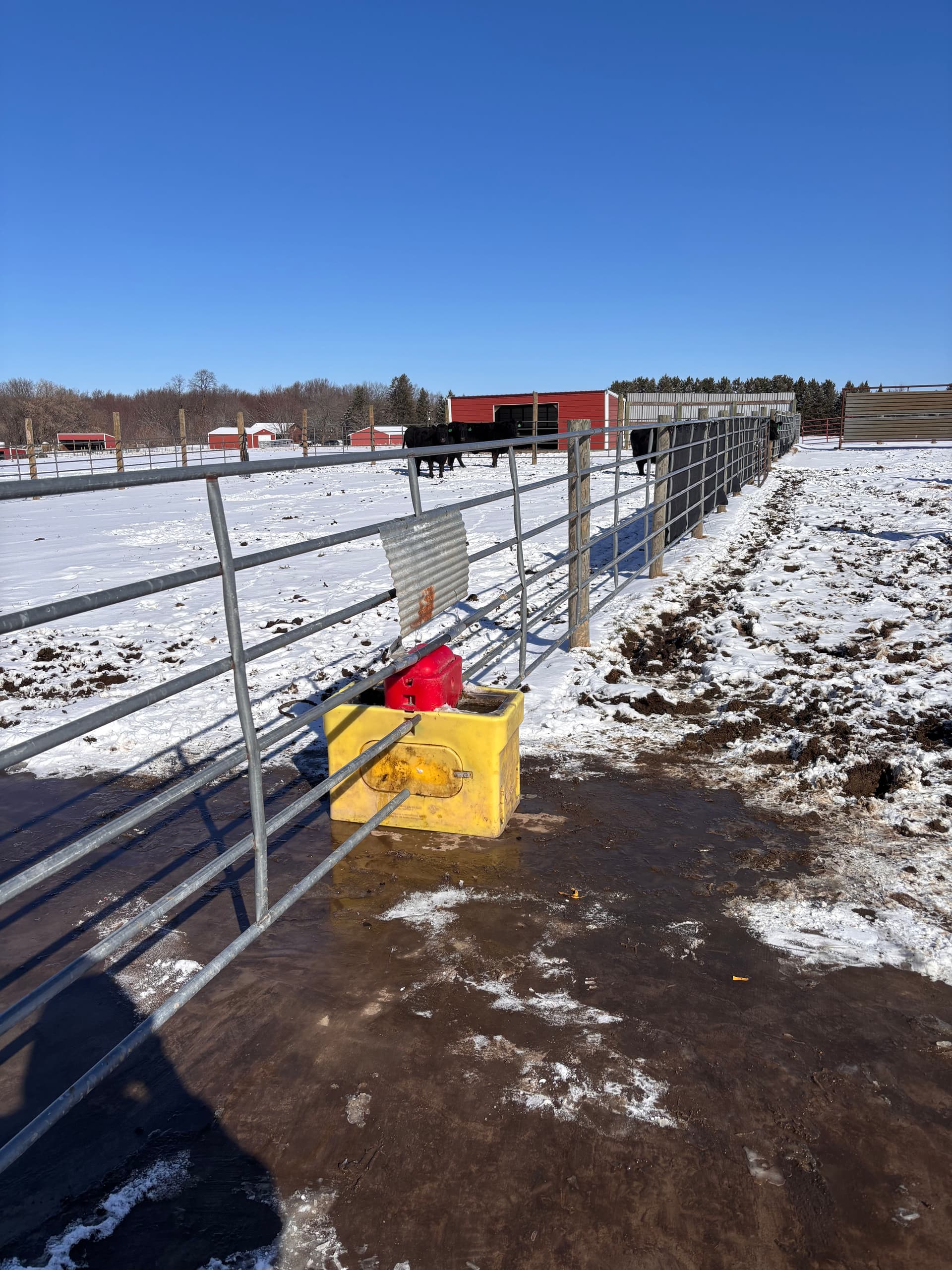 Gallery photos for Reviving Ritchie Waterer at Stearns Cattle in Princeton: Image #3