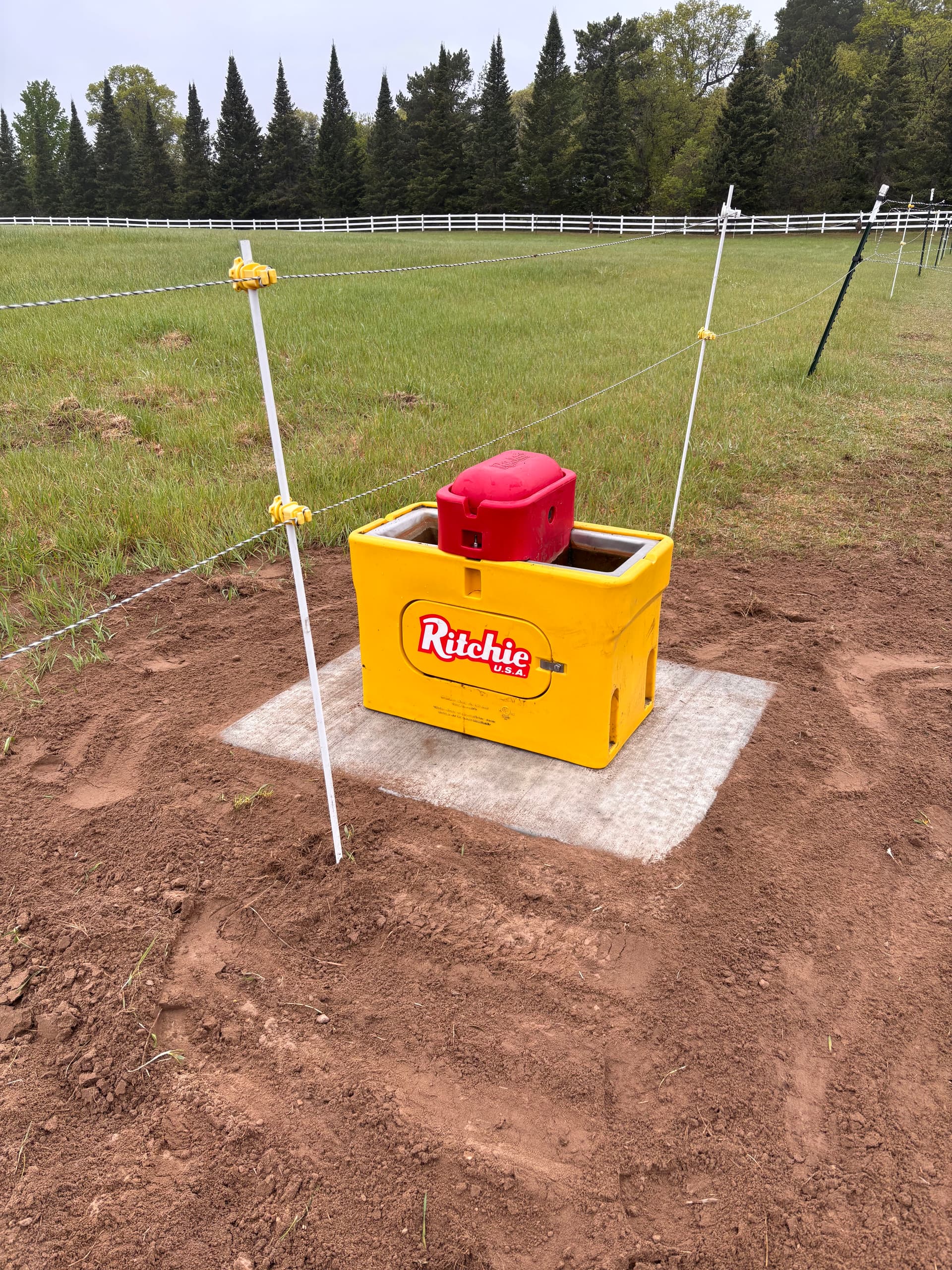 Gallery photos for New Concrete Pads Installed Under Ritchie Automatic Waterers: Image #2