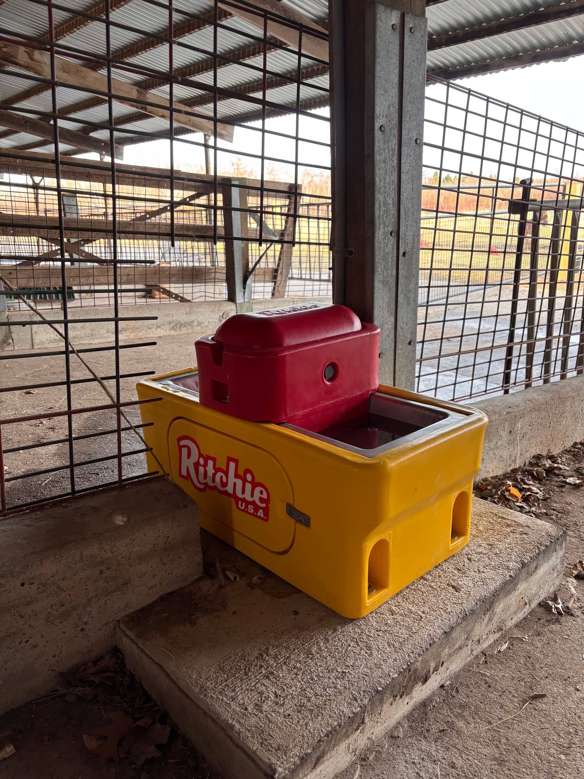 Gallery photos for Fresh Water Solutions for Mini Donkeys at Popple Creek Farm: Image #2