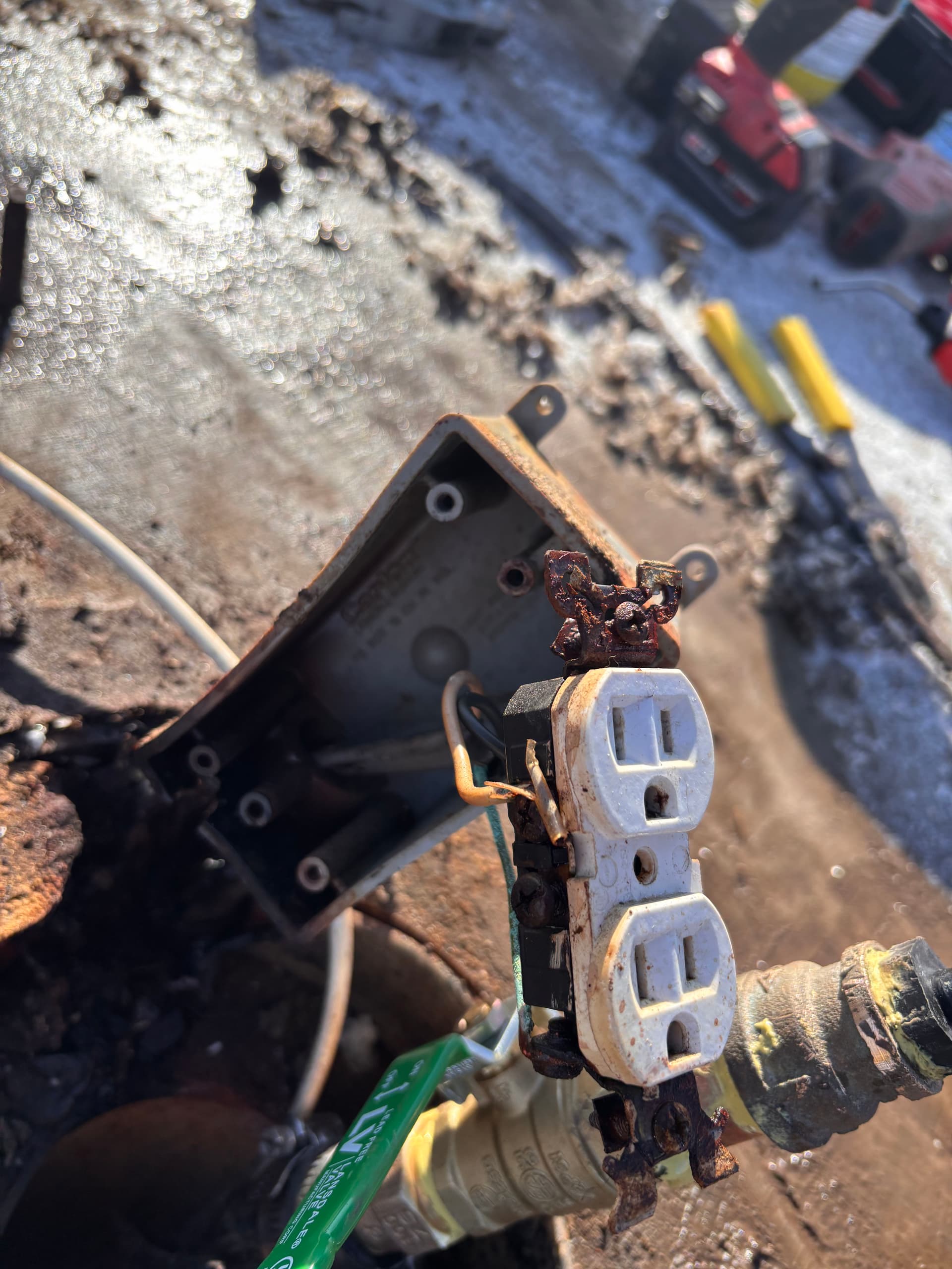 Gallery photos for Reviving Ritchie Waterer at Stearns Cattle in Princeton: Image #1