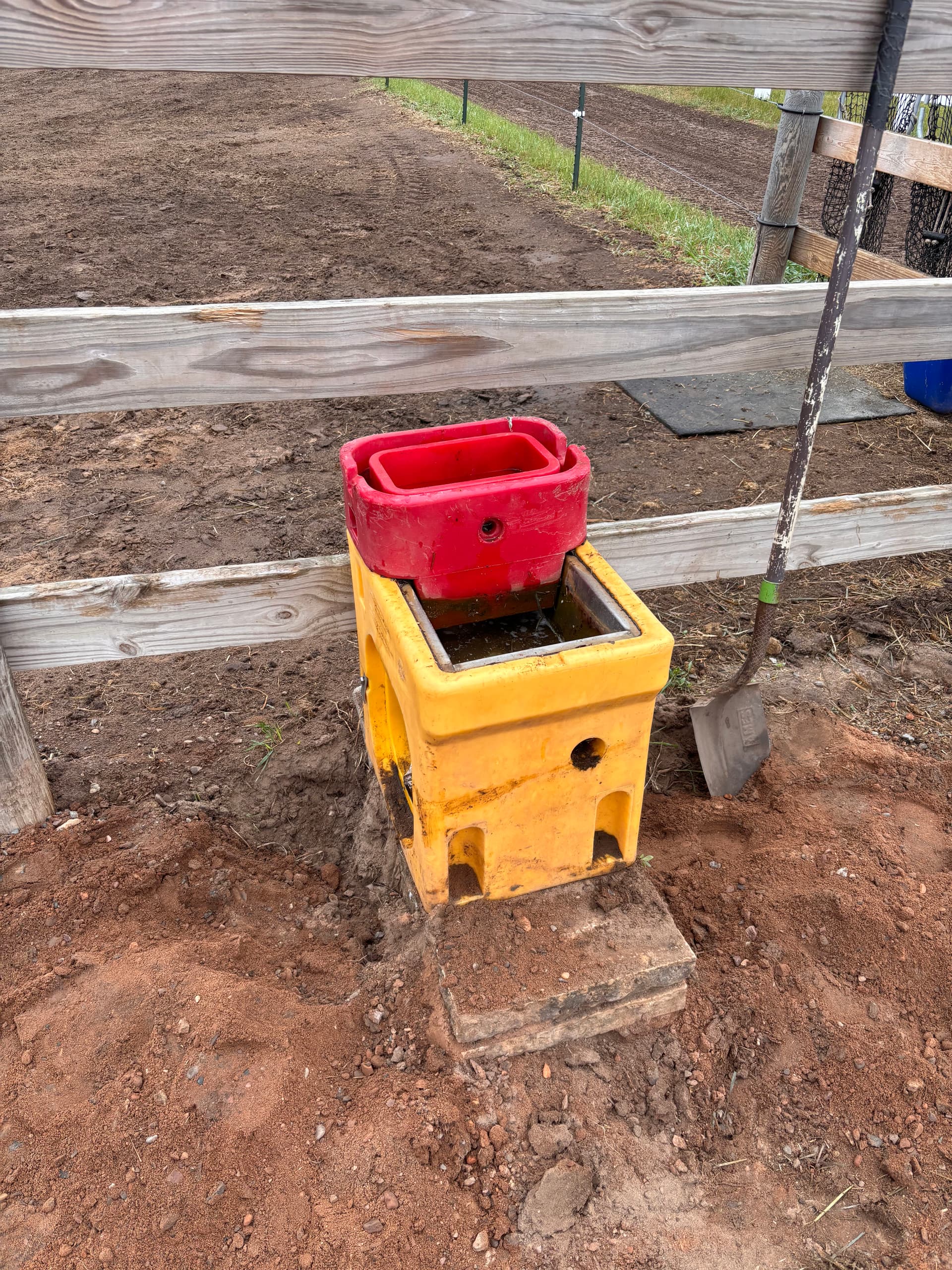 Gallery photos for New Concrete Pads Installed Under Ritchie Automatic Waterers: Image #4