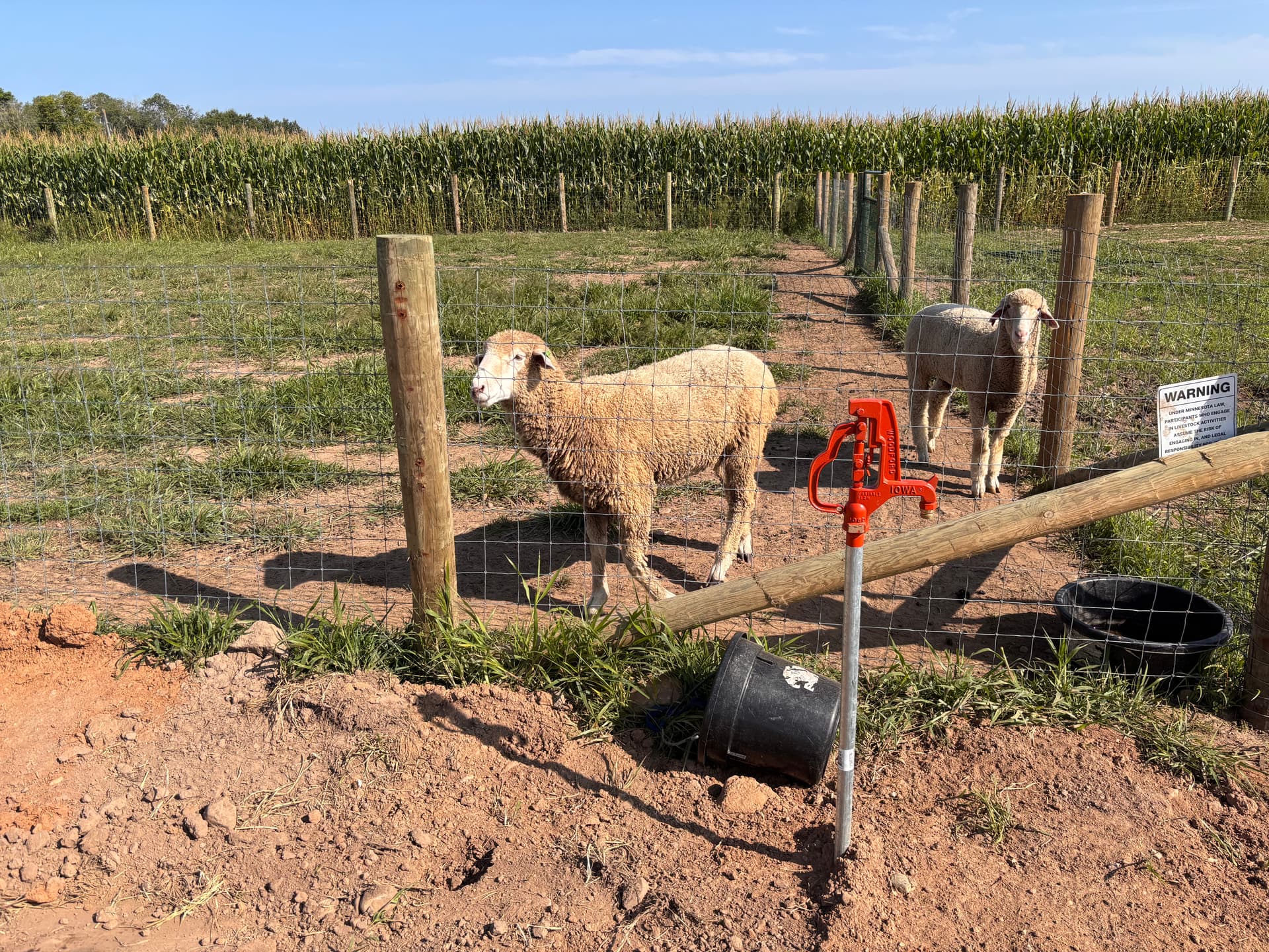 Gallery photos for Big Water Line Upgrade at Stony Creek Farm: Image #1
