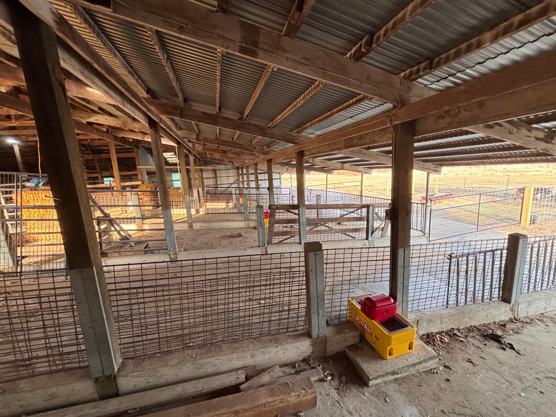 Gallery photos for Fresh Water Solutions for Mini Donkeys at Popple Creek Farm: Image #3